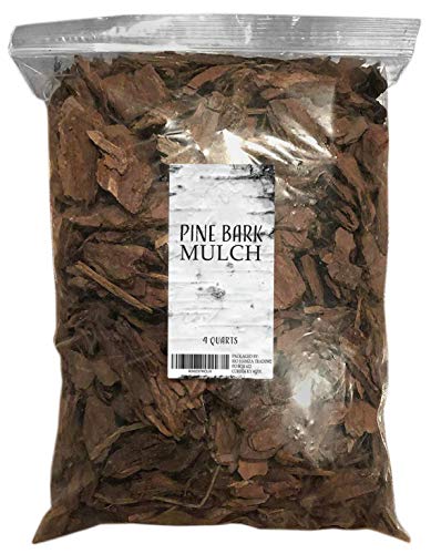 100% Natural Pine Bark Mulch Nuggets (4 Quarts), Small Mulch Chips for Indoor/Outdoor Container Gardening, Ideal for Soil Supplement, Houseplant Mulch