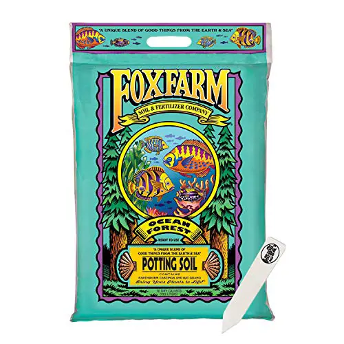 FoxFarm Ocean Forest Potting Soil Mix Indoor Outdoor for Garden and Plants | Plant Fertilizer | 12 Quart + THCity Stake