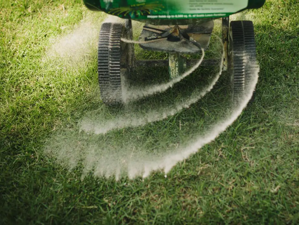 The 10 Best Fertilizers for Bermuda Grass | When and How to Fertilize Bermuda Grass