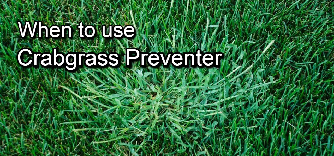 when to use crabgrass preventer