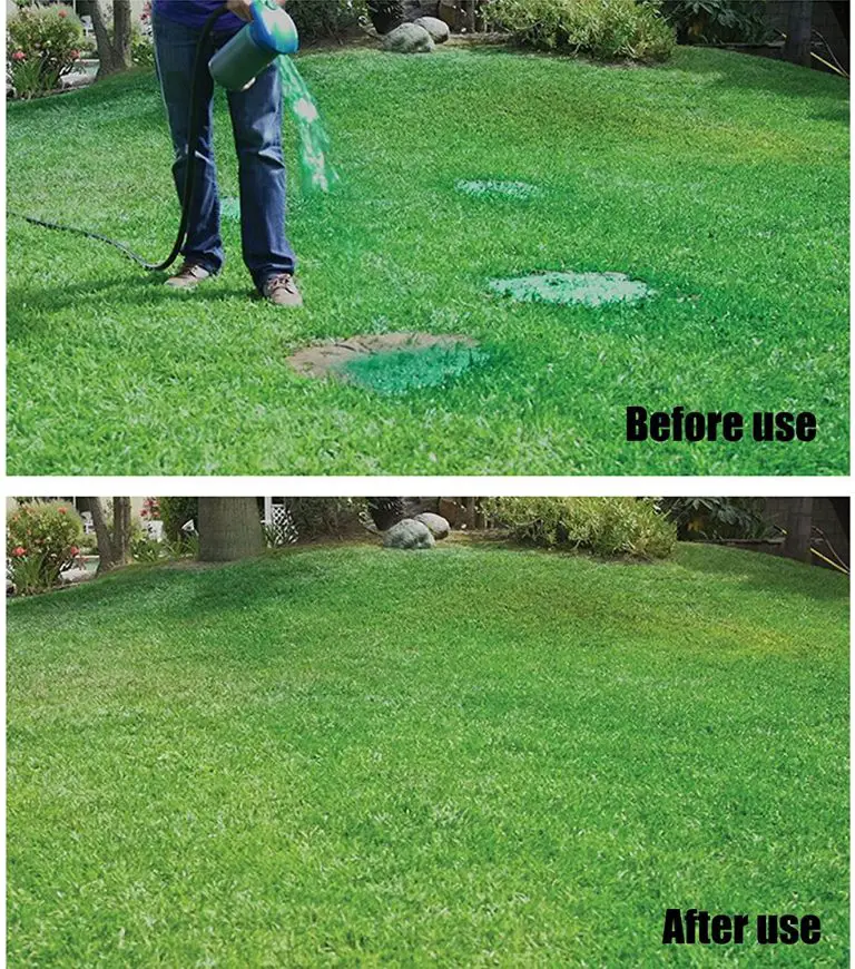 an-honest-review-on-spray-on-grass-seed-does-it-really-work