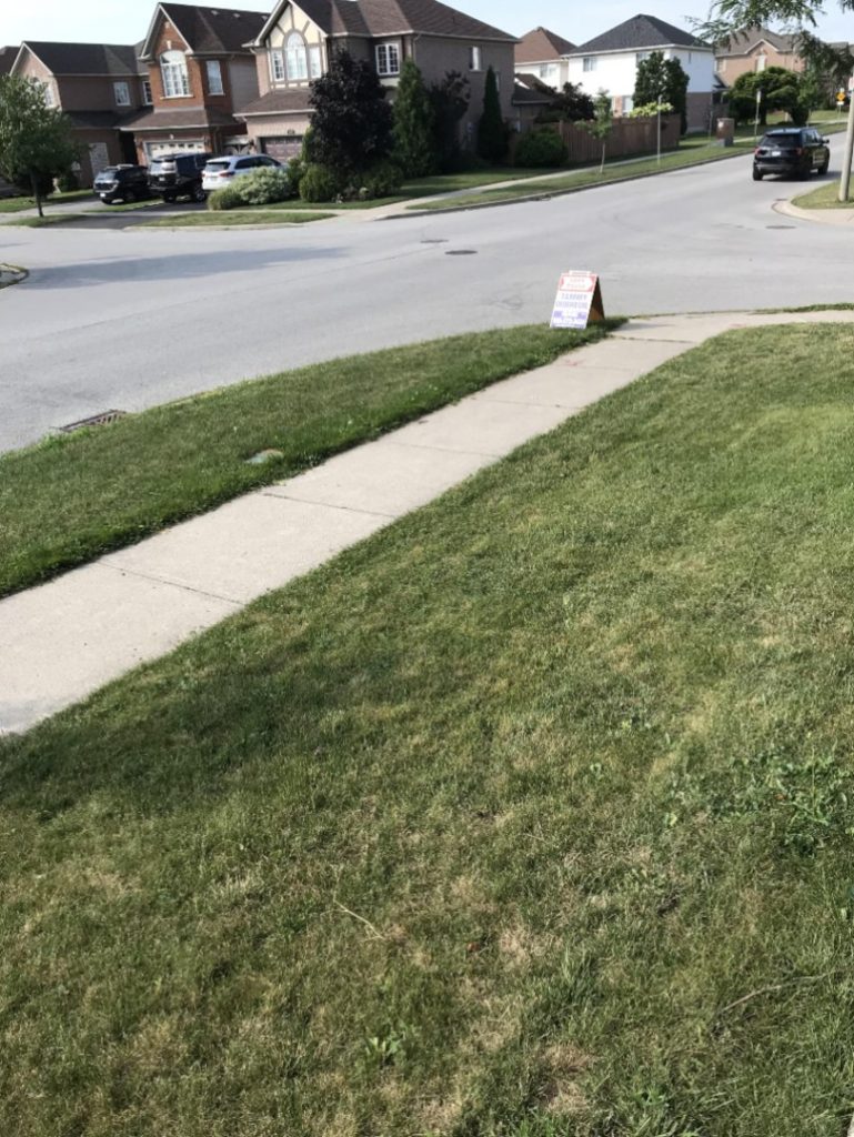 who owns the grass between sidewalk and curb