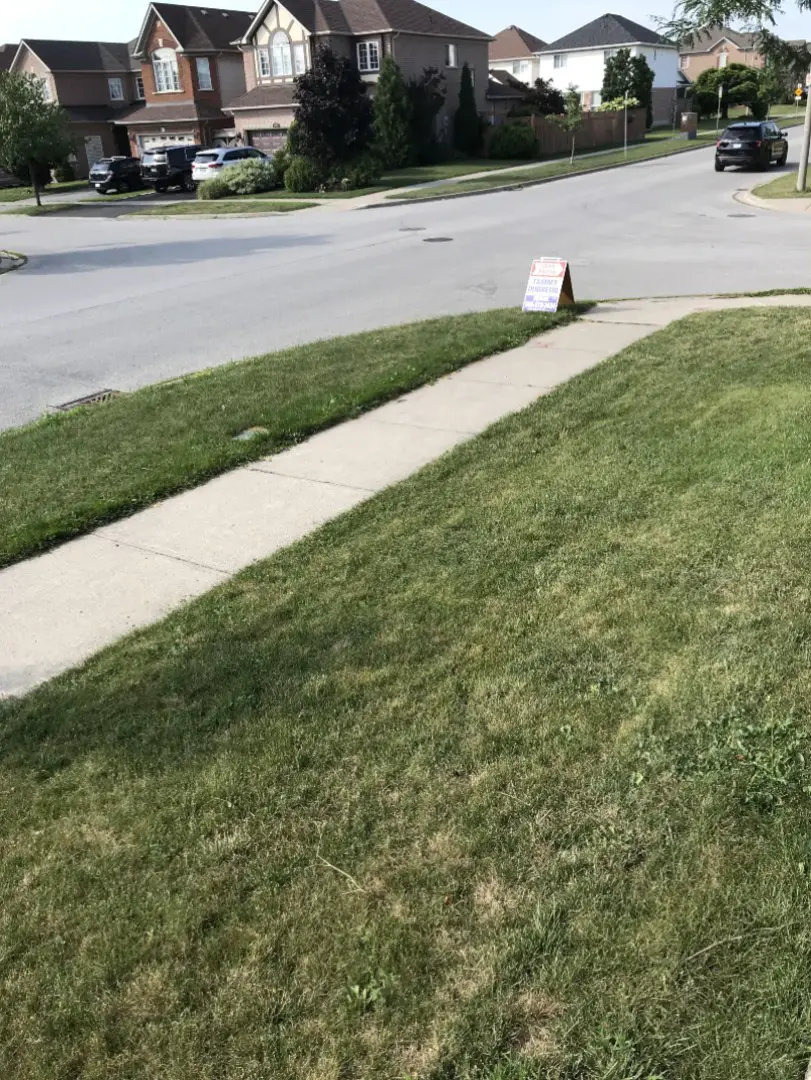 who-owns-the-grass-between-the-sidewalk-and-the-curb-answer