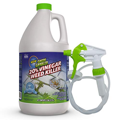 Green Gobbler 20% Vinegar Weed & Grass Killer | Natural and Organic | 1 Gallon Spray | Glyphosate Free Herbicide