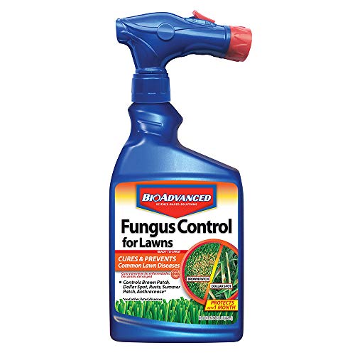 BioAdvanced 701270A Effective Fungicide with Disease Prevention Fungus Control for Lawns, 32-Ounce, Ready-to-Spray