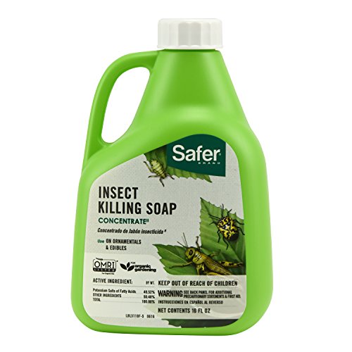 Safer Brand 5118-6 Insect Killing Soap Concentrate 16oz