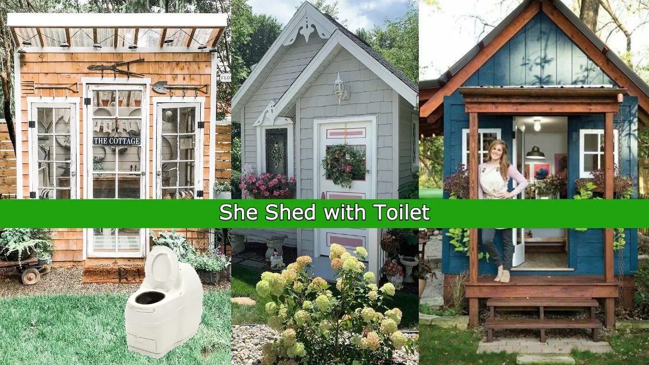 She shed with bathroom