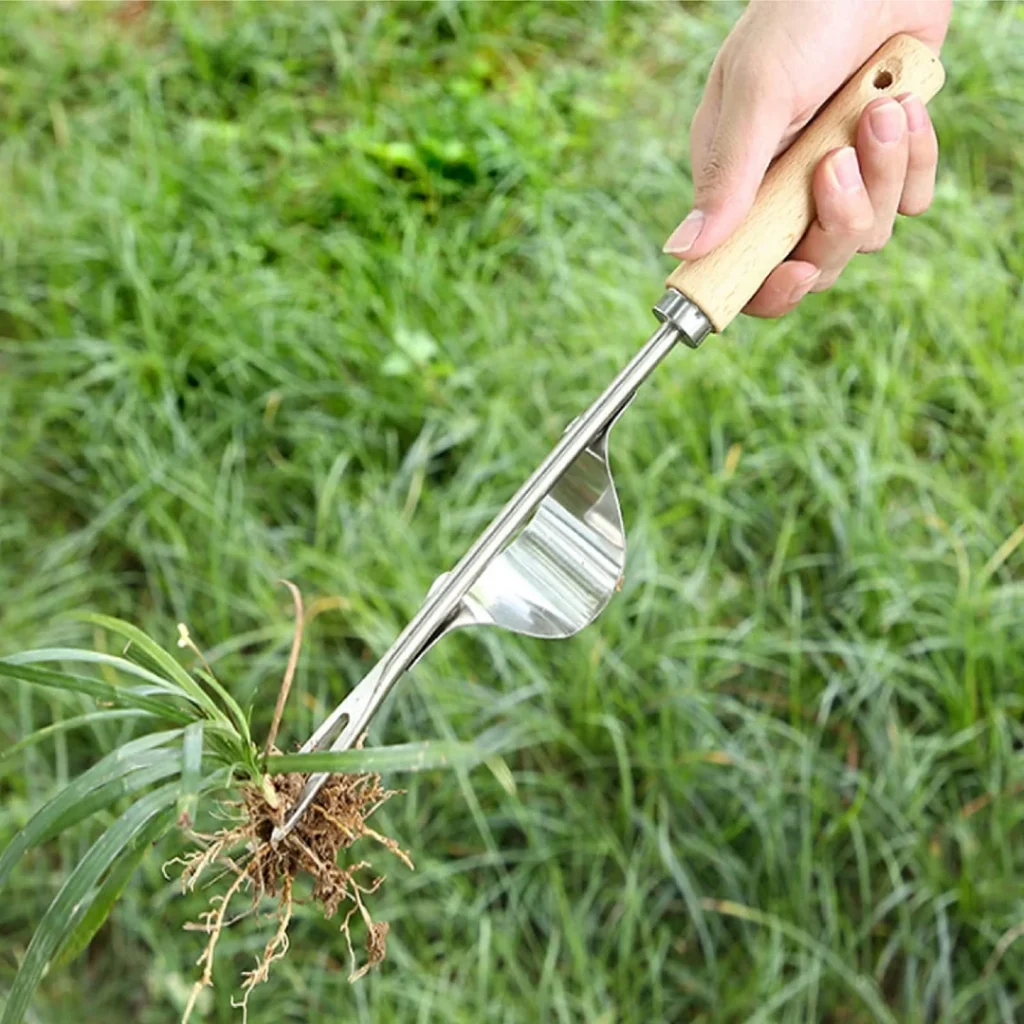 crabgrass weed puller tool by hand