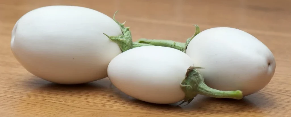 harvested easter egg plant