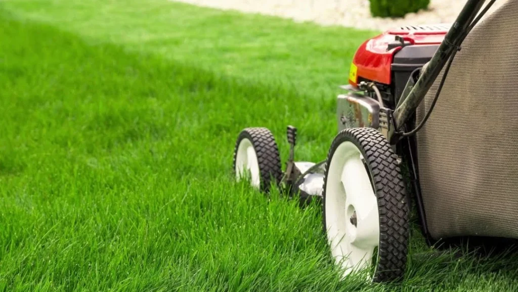 lawn mower on grass