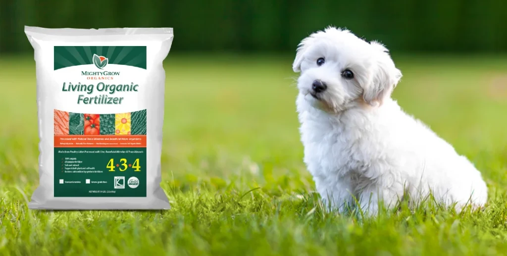 how long until fertilizer is safe for dogs