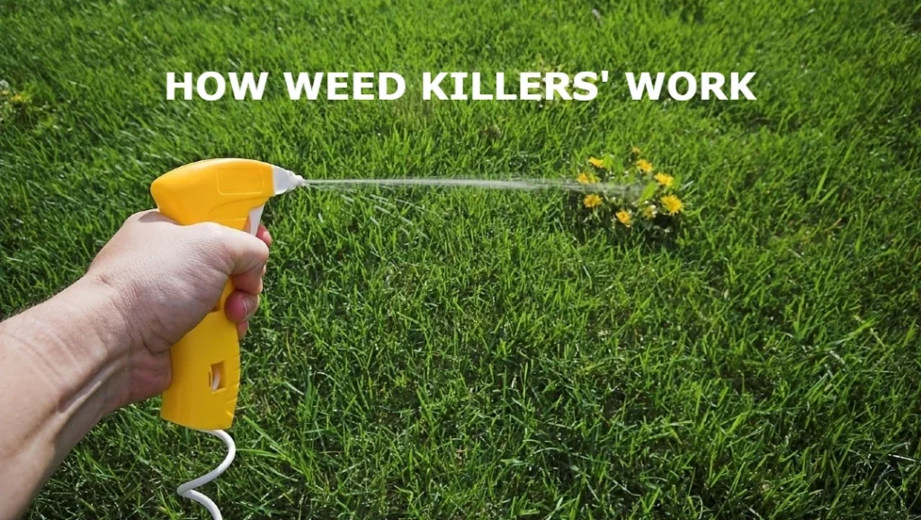 How Does Weed Killer Work